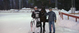 Ny trippelseger av Bodenproffset i Skellefteå