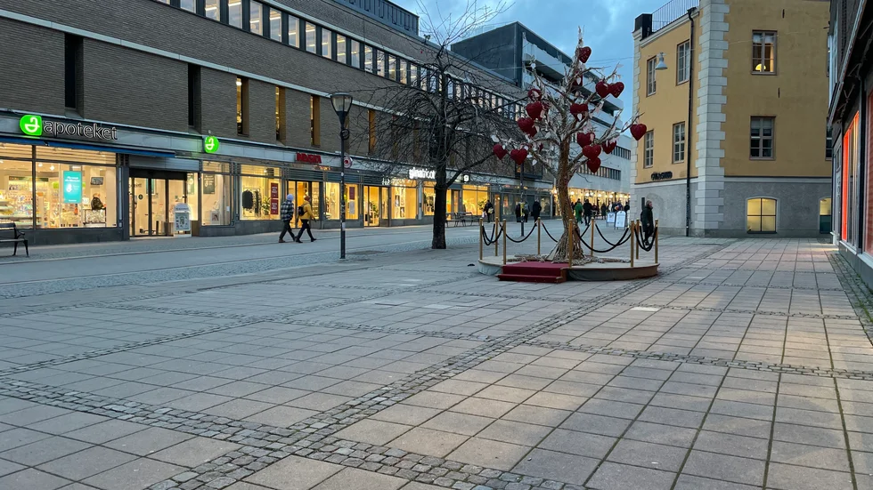 Celsiustorget ska bli en mer aktiv plats med konstverk om Uppsala city får som de vill.
