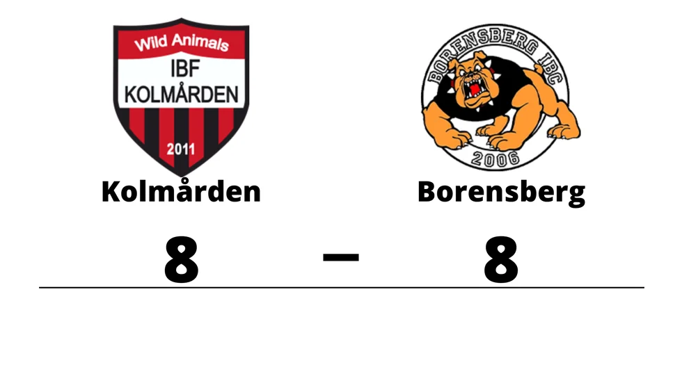 IBF Kolmården spelade lika mot Borensberg IBC