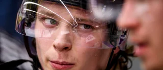 Rasar: "Det är att pissa på svensk hockey"