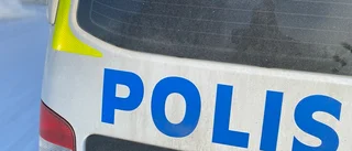 Kvinnan som misstänks för inblandning i mordet häktad