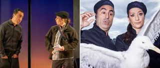 "Kebaben på skäret" ofta mycket rolig – men skjuter sig själv i foten