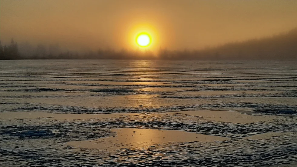 Dagens läsarbild.