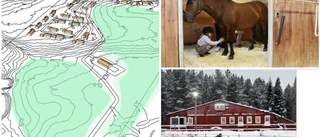 Hästintresserade ska lockas bygga i lilla byn – 29 tomter planeras i nytt bostadsområde utanför Älvsbyn