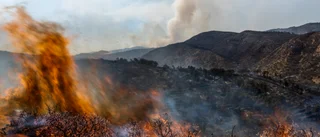 WMO: De senaste åtta åren de varmaste någonsin