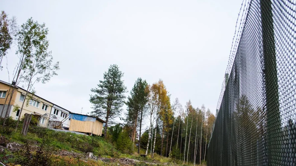 Trädsäkrat. Att inga träd får stå nära fängelsestaketet beror på att träd höjer risken för rymning. Men samtidigt som träden avverkades sjönk priset på villorna intill.