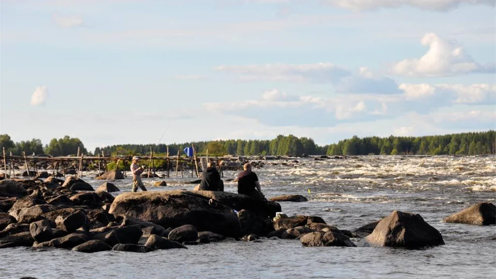 Även om fiskelyckan lyste med sin frånvaro var det en väldigt vacker dag.