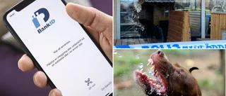 3 nyheter från dagen som du inte vill missa 