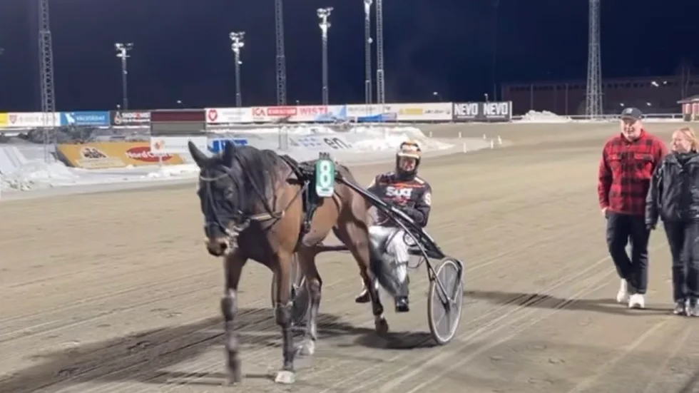 Selmer I.H segerdefilerar tillsammans med kusken Samu Sundkvist efter segern i V64-1 på Bodentravet 