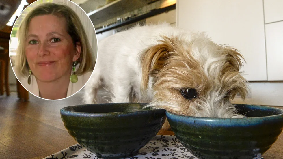 Marie Sallander har doktorerat i ämnet hundmat.