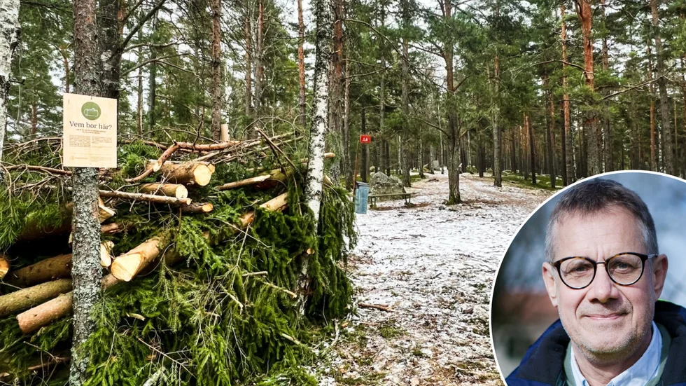 Kommunen har byggt en rishög på Åsen. På bild syns också Stefan Ivarsson.