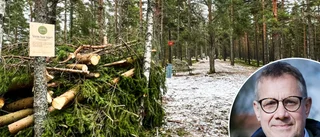 Därför har kommunen byggt en rishög på Åsen