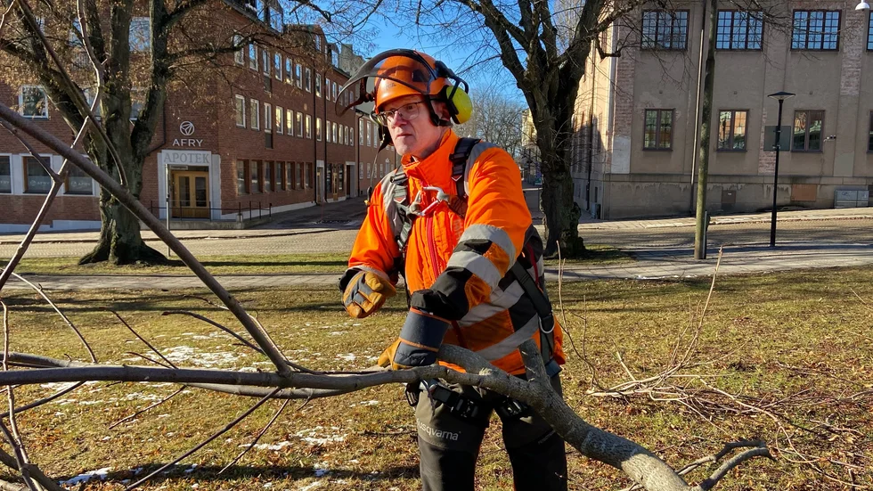 Lars-Martin Blomberg beskär träden utanför kommunhuset. "Det är när snödroppar och tussilago kommer igång. Det är trevligt att se när det börjar spira i marken", säger han.