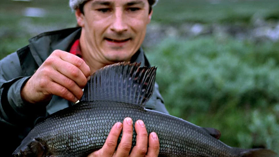 HARRLÄNET. Peter Henriksson med vacker fjällharr.