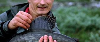 Så fångar man storfisken