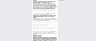 Jättebråket ger Luleå Pride sur eftersmak