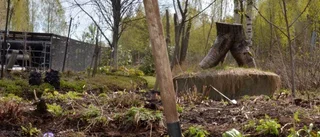 Trendigt att påta i trädgården