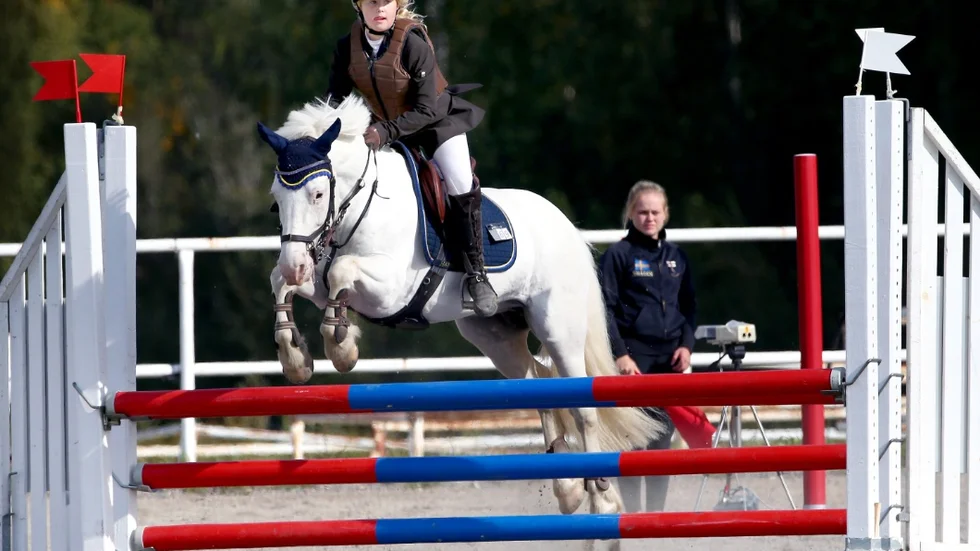 Ponny hopp i boden