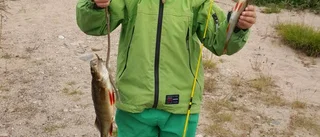 Små fiskare fick stora fiskar