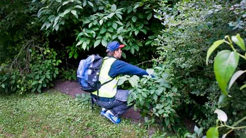 Missing people letade på måndagskvällen igenom centrala Luleå efter den försvunne mannen. Här letar Kristoffer Wahter i ett buskage i Stadsparken.