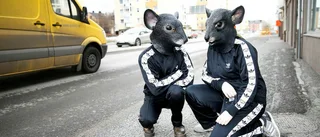 Deras vänskap som råttors kärlek