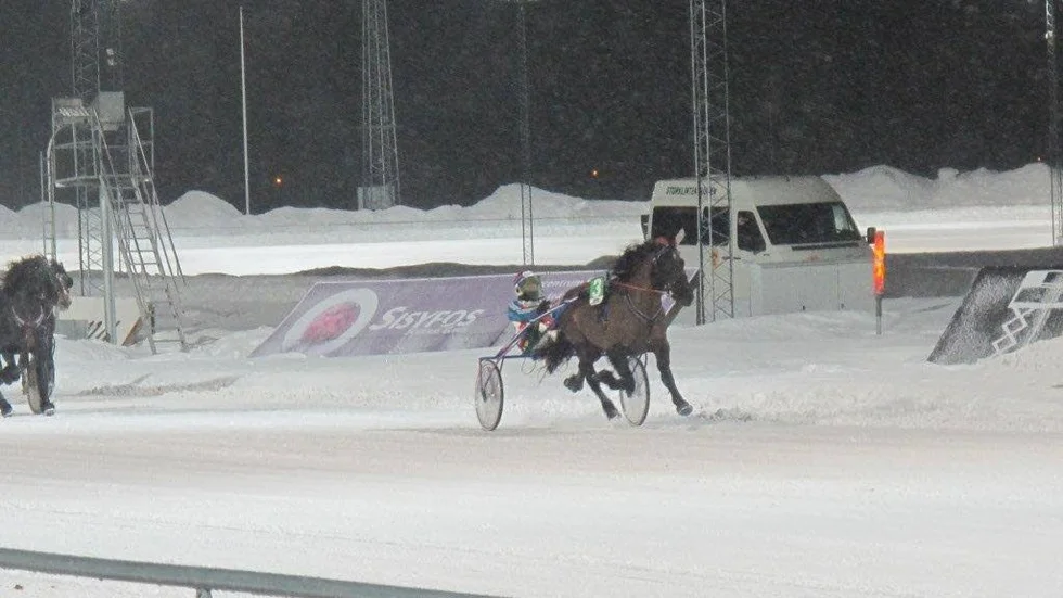 norsk seger - även i boden. Roger Nilssons norska import, Åskjappen, tog sin femte seger i går.