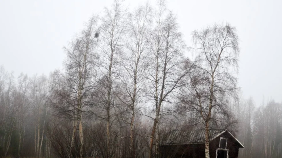 NATURA 2000-OMRÅDE. Riekkola är ett känt naturreservat i Haparanda.