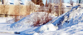 Delad mening om snödumpning