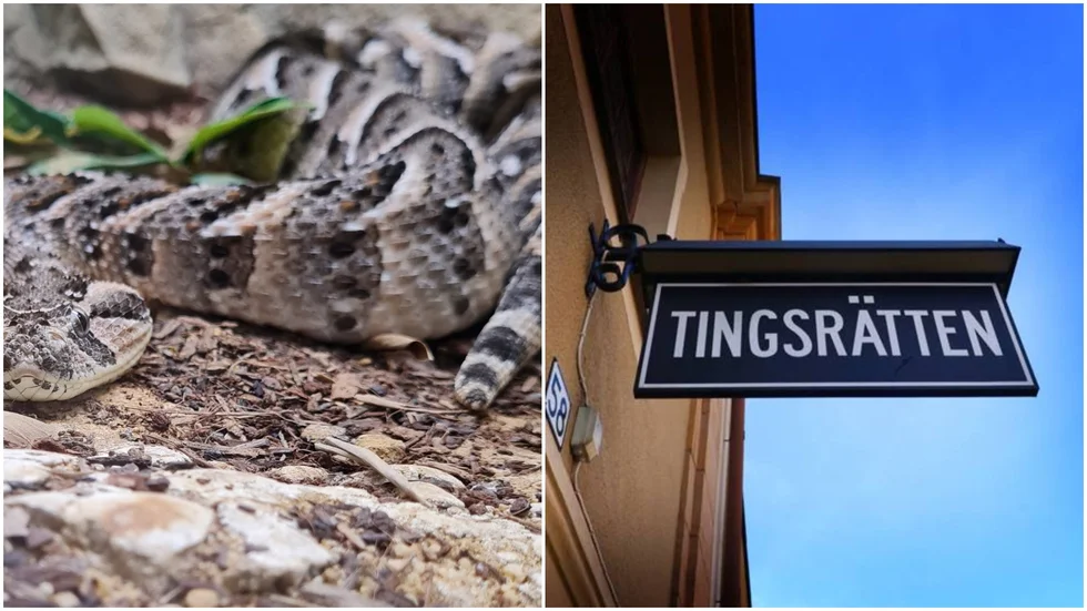 Mannen döms bland annat för bokföringsbrott