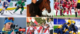 Vad minns du från sportåret 2022?