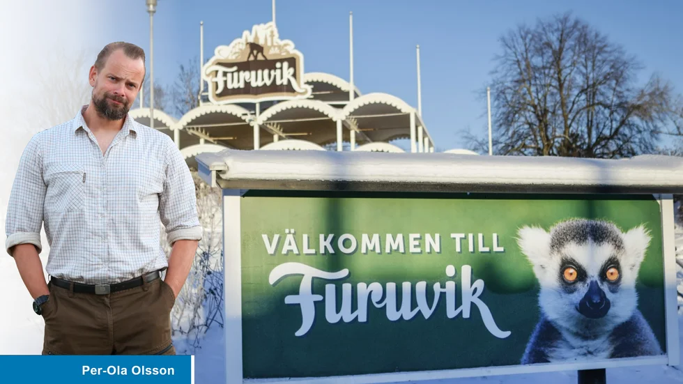 Djur ställer till med problem. Det är en del av deras charm. 
