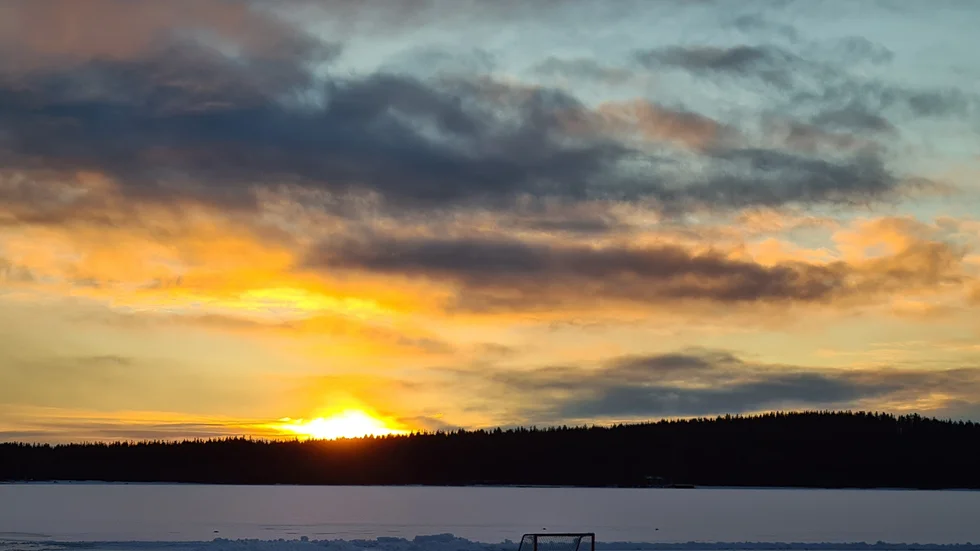 Dagens läsarbild.