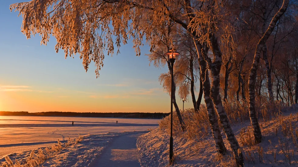 "Bilden är tagen i Luleå, en decemberdag när solen för omväxlings skull lyste över nejden", skriver Hans Åström.