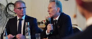 Han ska bli Harald Hjalmarssons sidekick • Hade toppost i näringslivet • Fastnade för Västervik