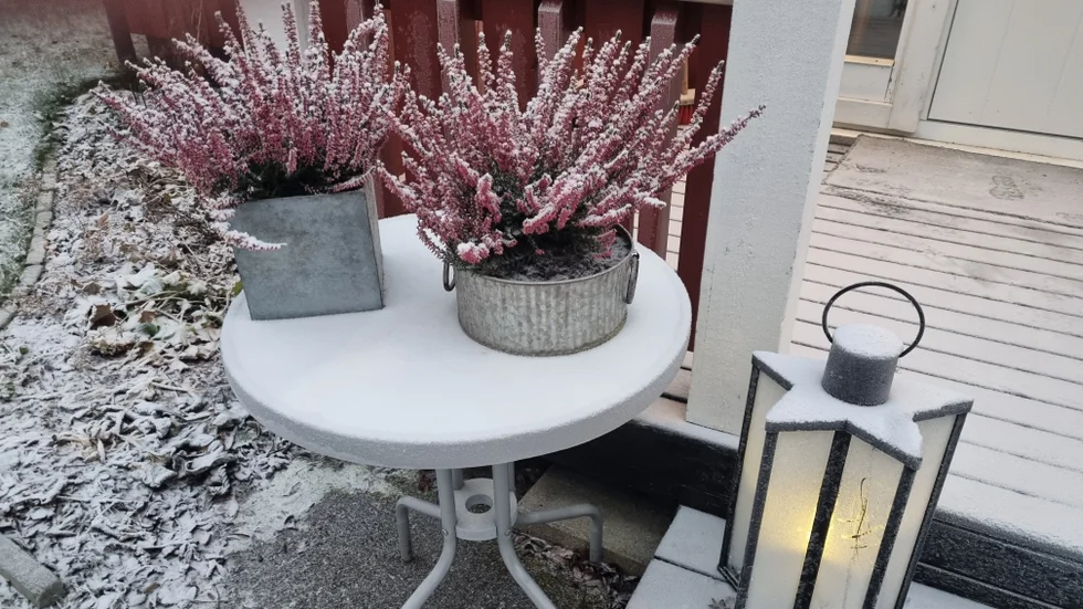 Snöblandad frost i Hortlax.