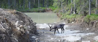 Provborrningarna stoppas i Kallak