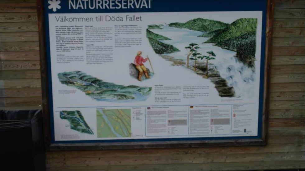 Döda fallet blev en turistattraktion efter Vildhussens arbete att skapa en bättre vattenled.