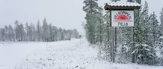 De har tagit ställning för sitt språk