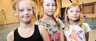 Pyramiden sitter i ryggmärgen
