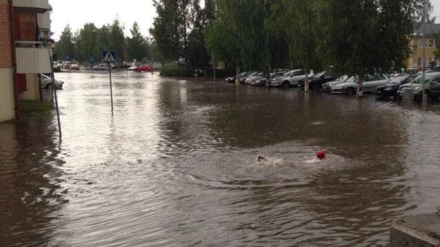 SIMTUR. Den här killen passade på att simma efter Sundsgatan.
