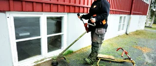 Skolstriden skakar politiken i Piteå