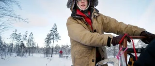 Turismföretagare tar strid mot vapentester