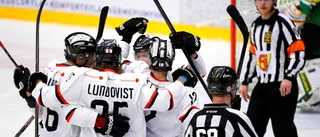 Tränaren nöjd trots finalförlust