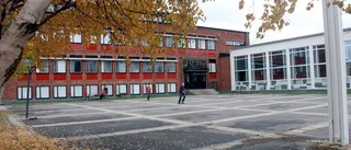 17-åring åtalas för anlagda bränder