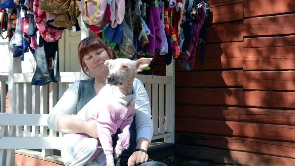 Hundmodell. Tiken Xena kläddes i en overall gjord av en gammal t-shirt när matte Linda Smedman visade upp hundkläder.