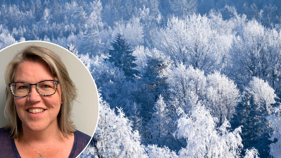 En vit jul – men kanske inte på det sätt vi hade hoppats på. Meteorologen Therese Fougman utlovar det "näst bästa" inför julhelgen i Sörmland.