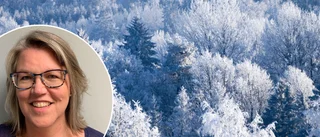 Nu kommer regnet – raserar chanserna för en vit jul: "Får det näst bästa" • Så blir vädret på julafton
