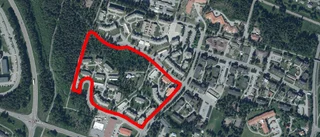 Stadsdelen ska utvecklas • Fler bostäder • Utbyggnad av skolan • Torget ska bli en mötesplats