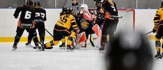 Beskedet: Så ska SDHL-kvalet se ut • AIK:s reaktion: ”Det var väntat”