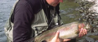 Så länge ekonomin går före ekologin har naturen ingen chans